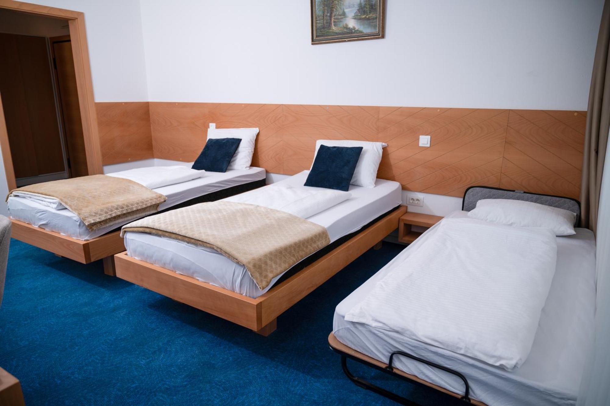 Hotel Borovi Forest Resort & Spa Sjenica Εξωτερικό φωτογραφία